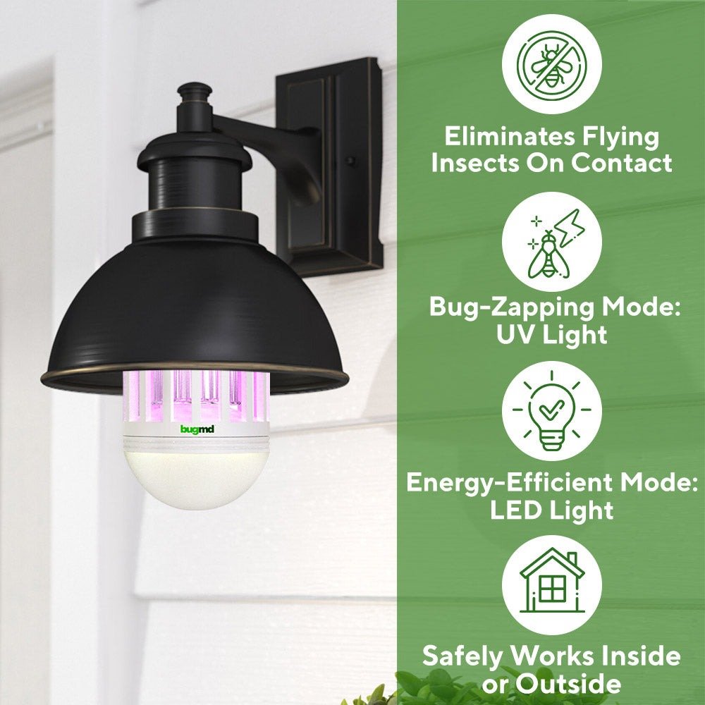 WhatsApp Image 2024-11-30 at 1.35.11 AM